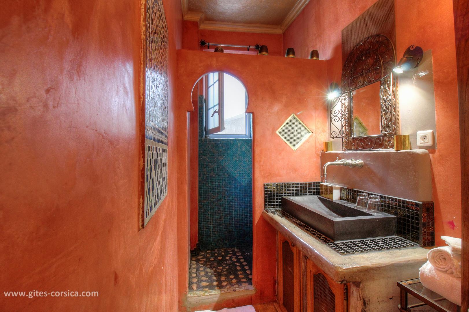 Chambres d'hôtes à Pila Canale, le grand Valinco, en Corse du Sud, labellisé Gîtes de France : la salle d'eau de la chambre A Filetta photo 30